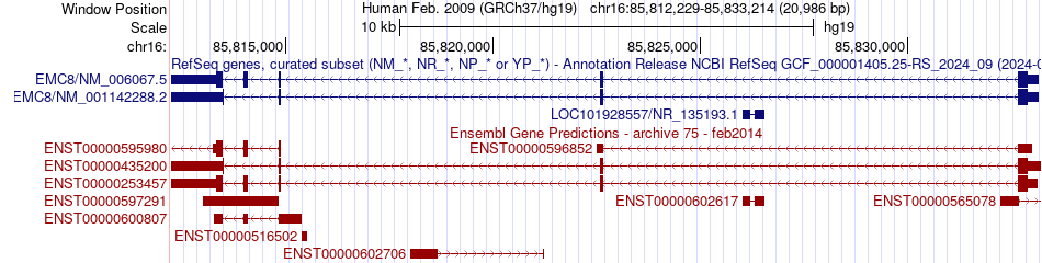 gene isoform structure of EMC8