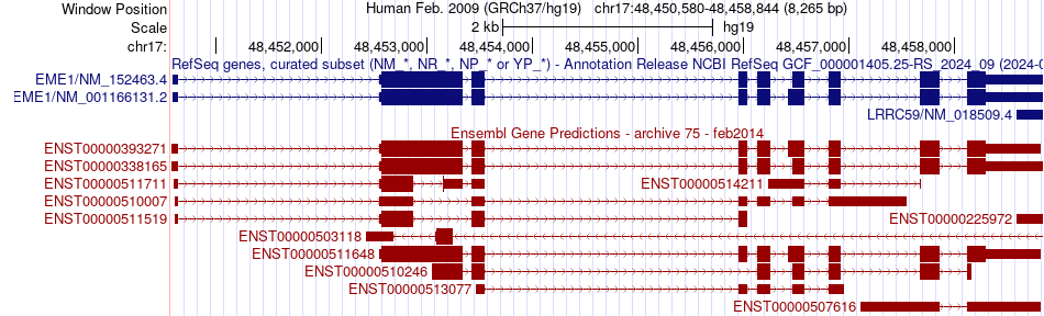 gene isoform structure of EME1