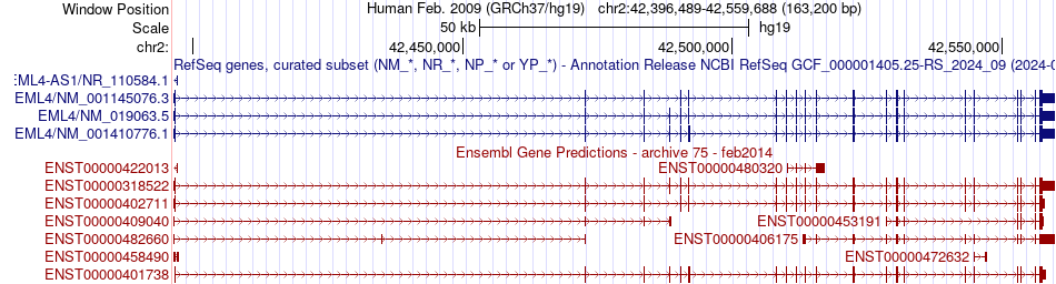 gene isoform structure of EML4