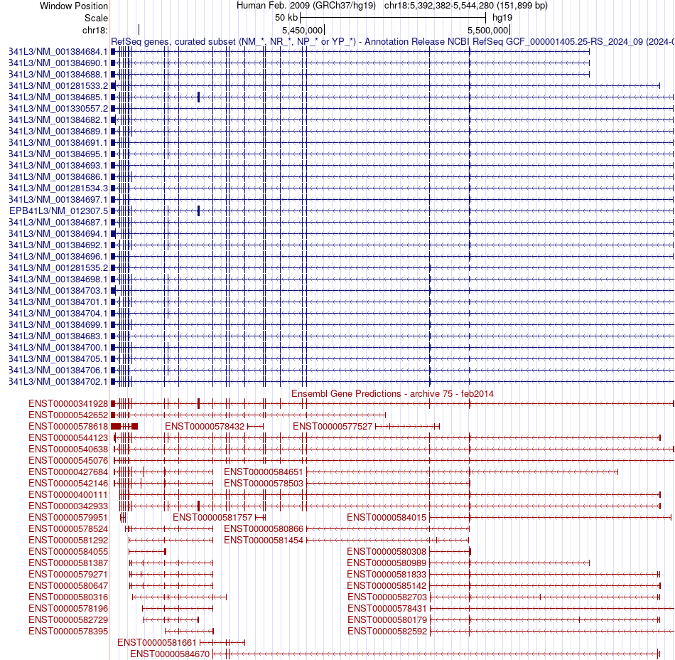 gene isoform structure of EPB41L3