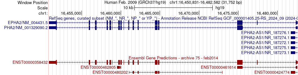 gene isoform structure of EPHA2
