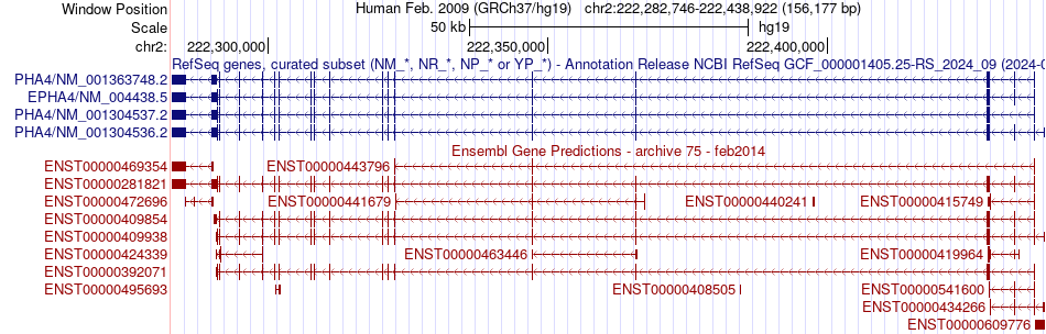 gene isoform structure of EPHA4