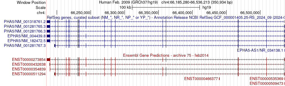 gene isoform structure of EPHA5