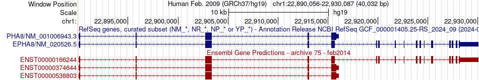 gene isoform structure of EPHA8