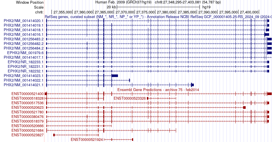 gene isoform structure of EPHX2