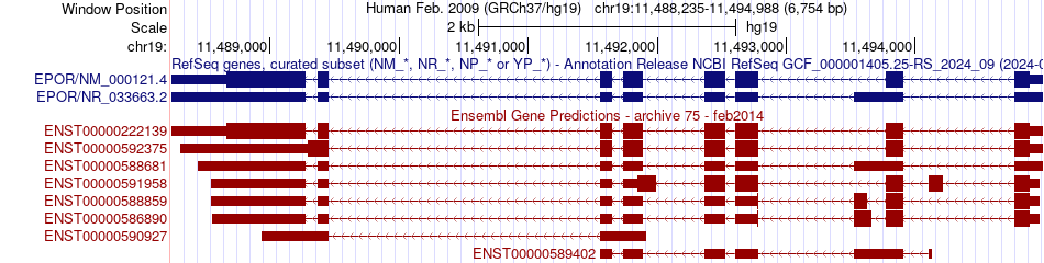 gene isoform structure of EPOR