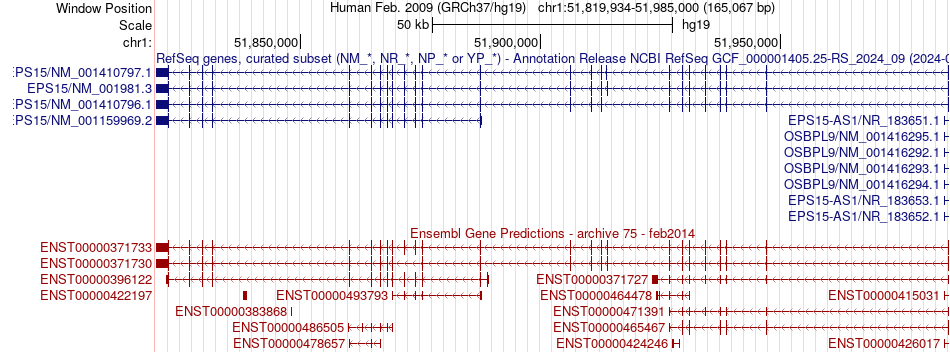 gene isoform structure of EPS15