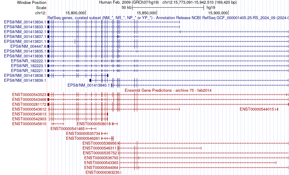 gene isoform structure of EPS8
