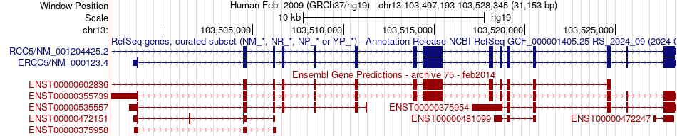 gene isoform structure of ERCC5