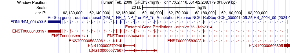 gene isoform structure of ERN1