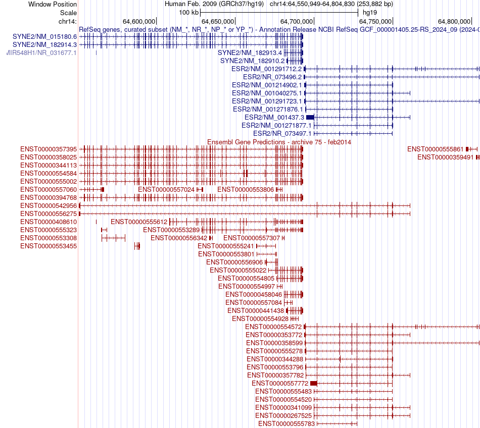 gene isoform structure of ESR2