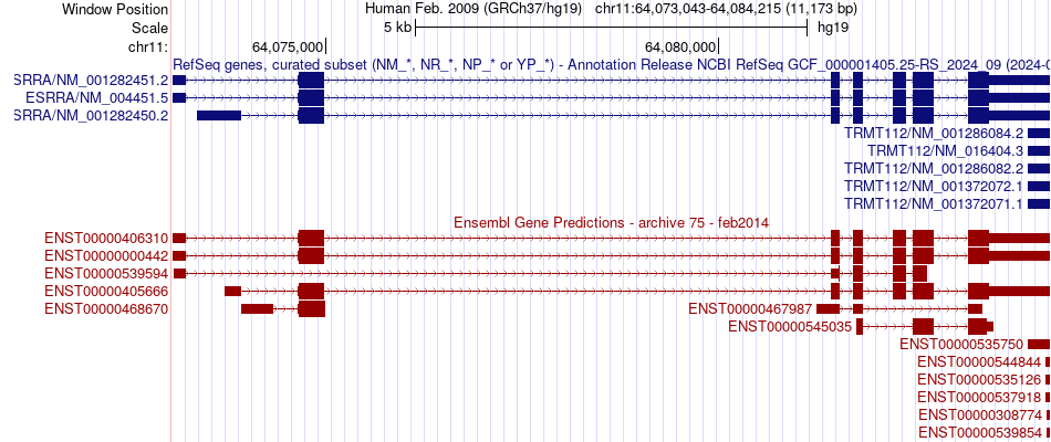 gene isoform structure of ESRRA