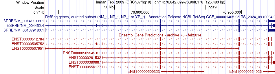 gene isoform structure of ESRRB