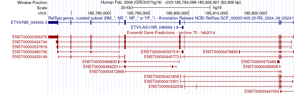 gene isoform structure of ETV5