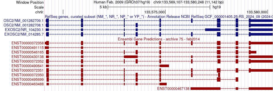 gene isoform structure of EXOSC2