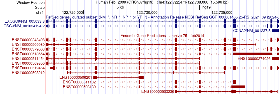 gene isoform structure of EXOSC9