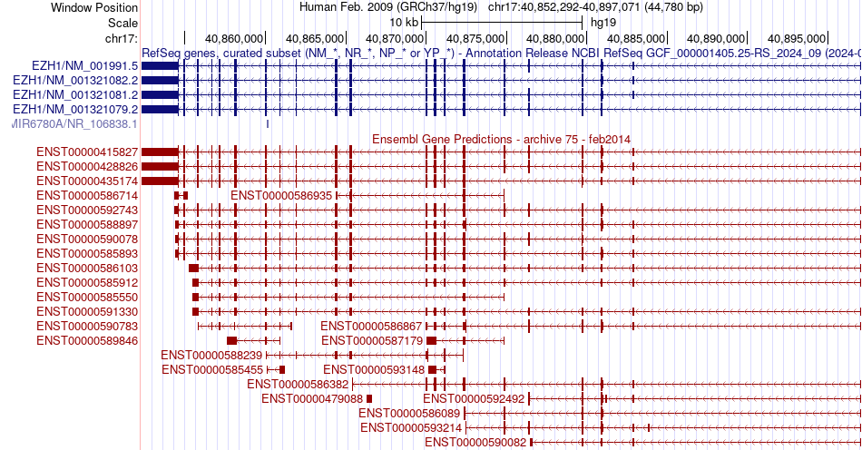 gene isoform structure of EZH1