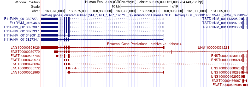 gene isoform structure of F11R