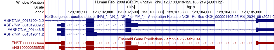 gene isoform structure of FABP7
