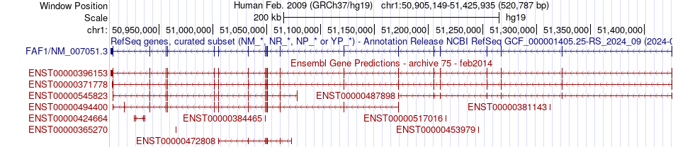 gene isoform structure of FAF1