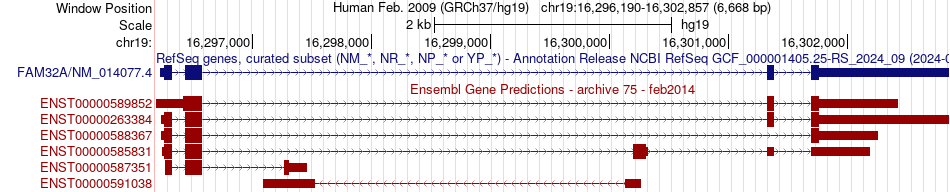gene isoform structure of FAM32A