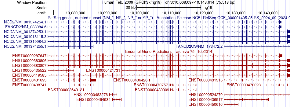 gene isoform structure of FANCD2