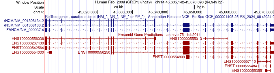 gene isoform structure of FANCM