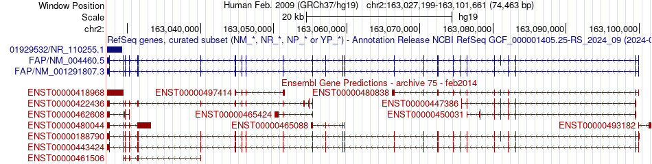 gene isoform structure of FAP