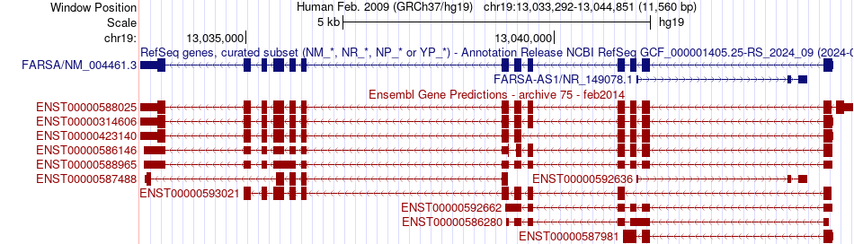 gene isoform structure of FARSA