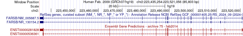 gene isoform structure of FARSB