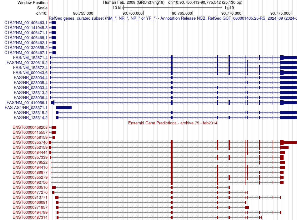 gene isoform structure of FAS
