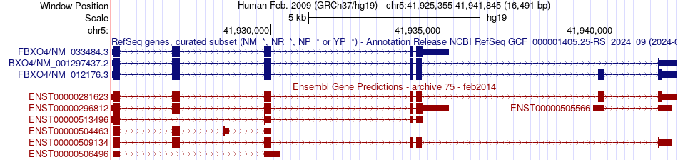 gene isoform structure of FBXO4