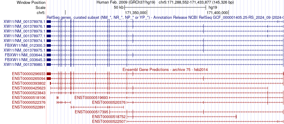 gene isoform structure of FBXW11