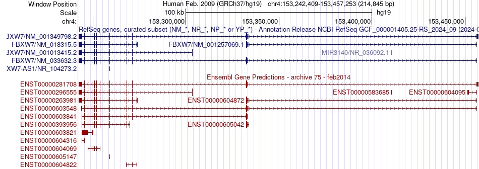 gene isoform structure of FBXW7