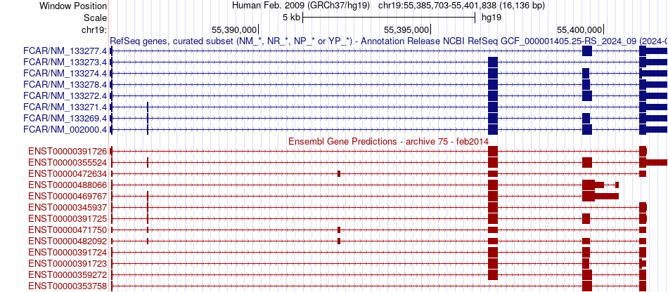 gene isoform structure of FCAR