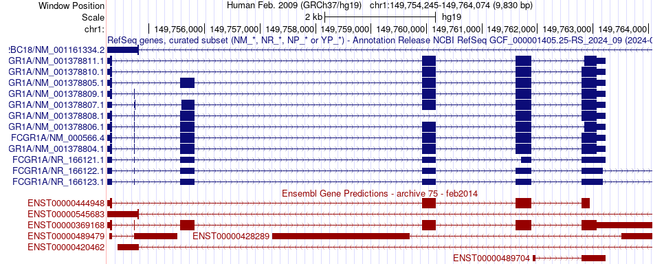 gene isoform structure of FCGR1A