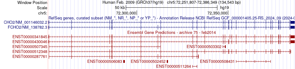 gene isoform structure of FCHO2
