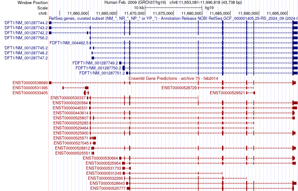 gene isoform structure of FDFT1