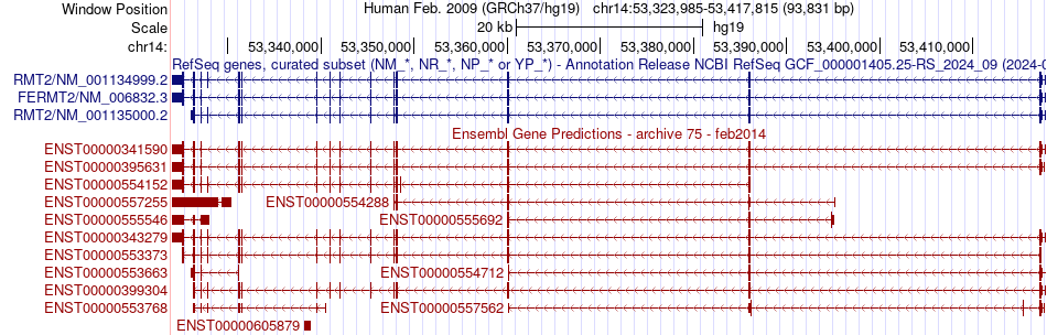 gene isoform structure of FERMT2