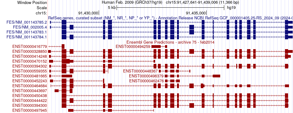 gene isoform structure of FES