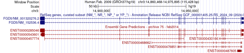 gene isoform structure of FGD5