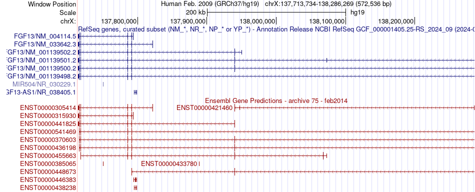 gene isoform structure of FGF13