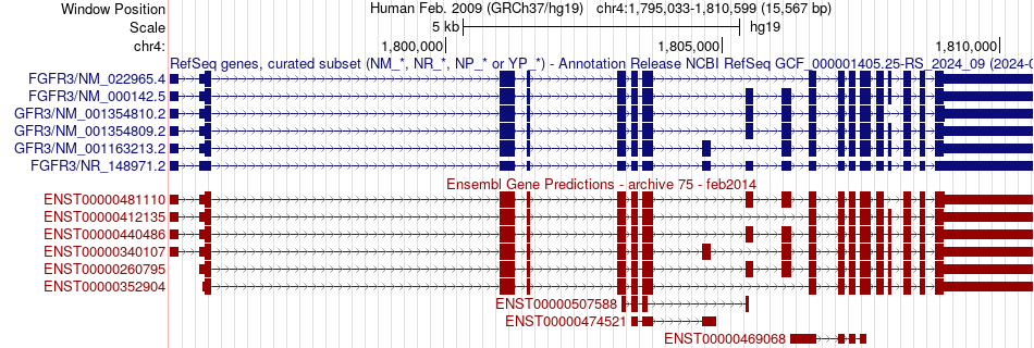 gene isoform structure of FGFR3