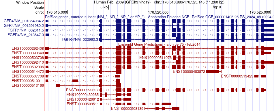 gene isoform structure of FGFR4