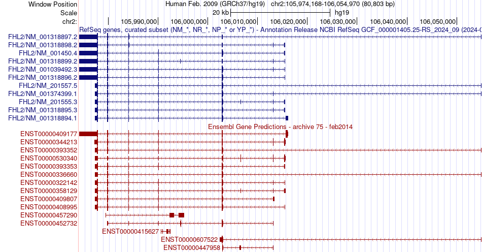 gene isoform structure of FHL2