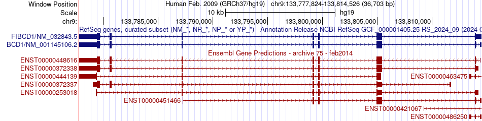 gene isoform structure of FIBCD1