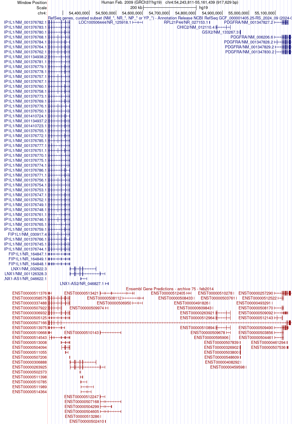 gene isoform structure of FIP1L1