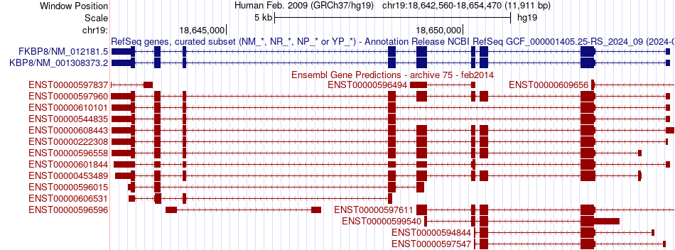 gene isoform structure of FKBP8