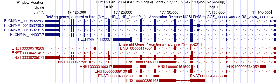 gene isoform structure of FLCN