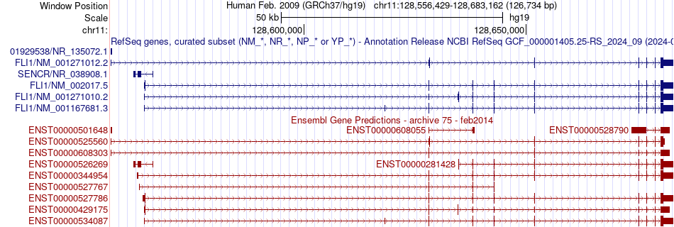 gene isoform structure of FLI1